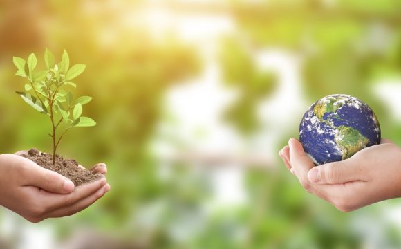 Environment day concept. hands holding tree and earth globe over green nature background. Elements of this image furnished by NASA